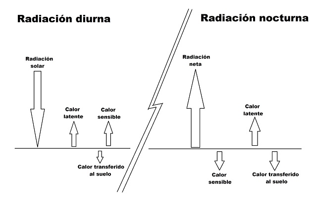 radiación diurna y nocturna