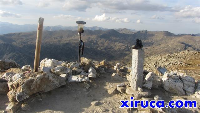 Xiruca a la Tossa Plana de Lles