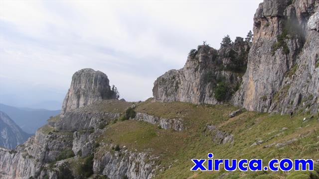 Faja camino de los Sestrales