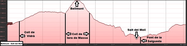 Perfil de la ruta a Bellmunt y al Salt del Molí desde Vidrà