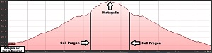 Perfil de la ruta al Matagalls por Coll de Bordoriol