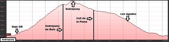 Perfil de la ruta al Sobrepuny