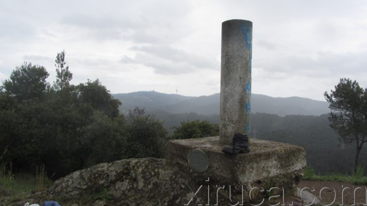 Xiruca al Puig de Madrona