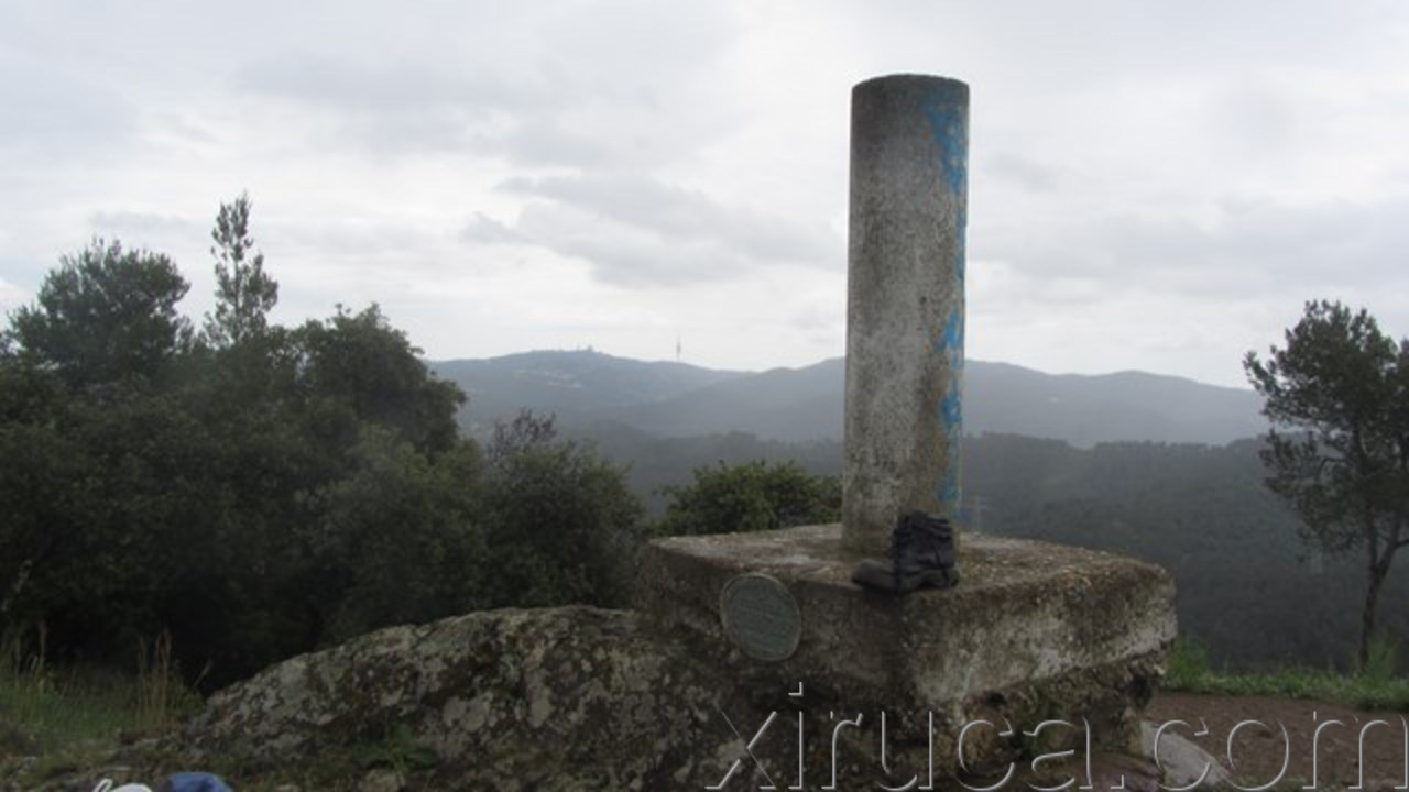 Xiruca en el Puig de Madrona