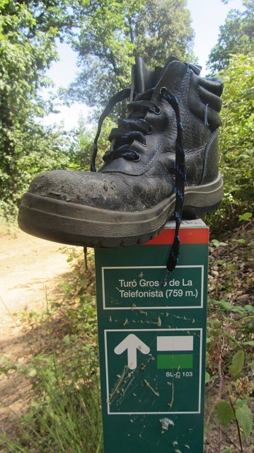 Xiruca en el Turó Gros