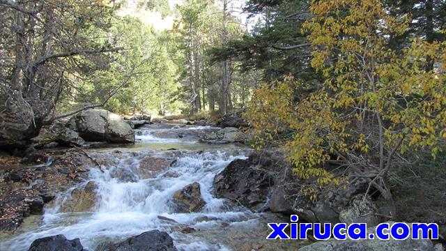 Bajada de aguas por el Planell d'Aigüestortes