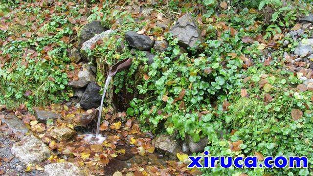 Fuente en el &quot;Camí de la llúdriga&quot;