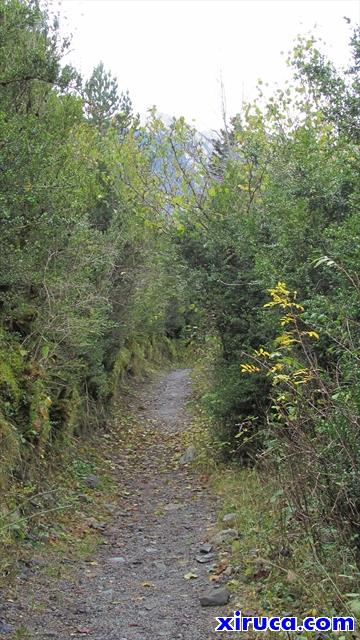 Inicio &quot;Camí de la llúdriga&quot;