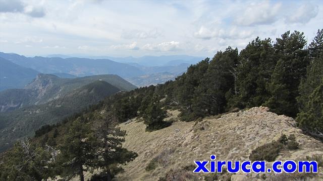 Puig Galliner y Roca de Santaló desde el Cadinell