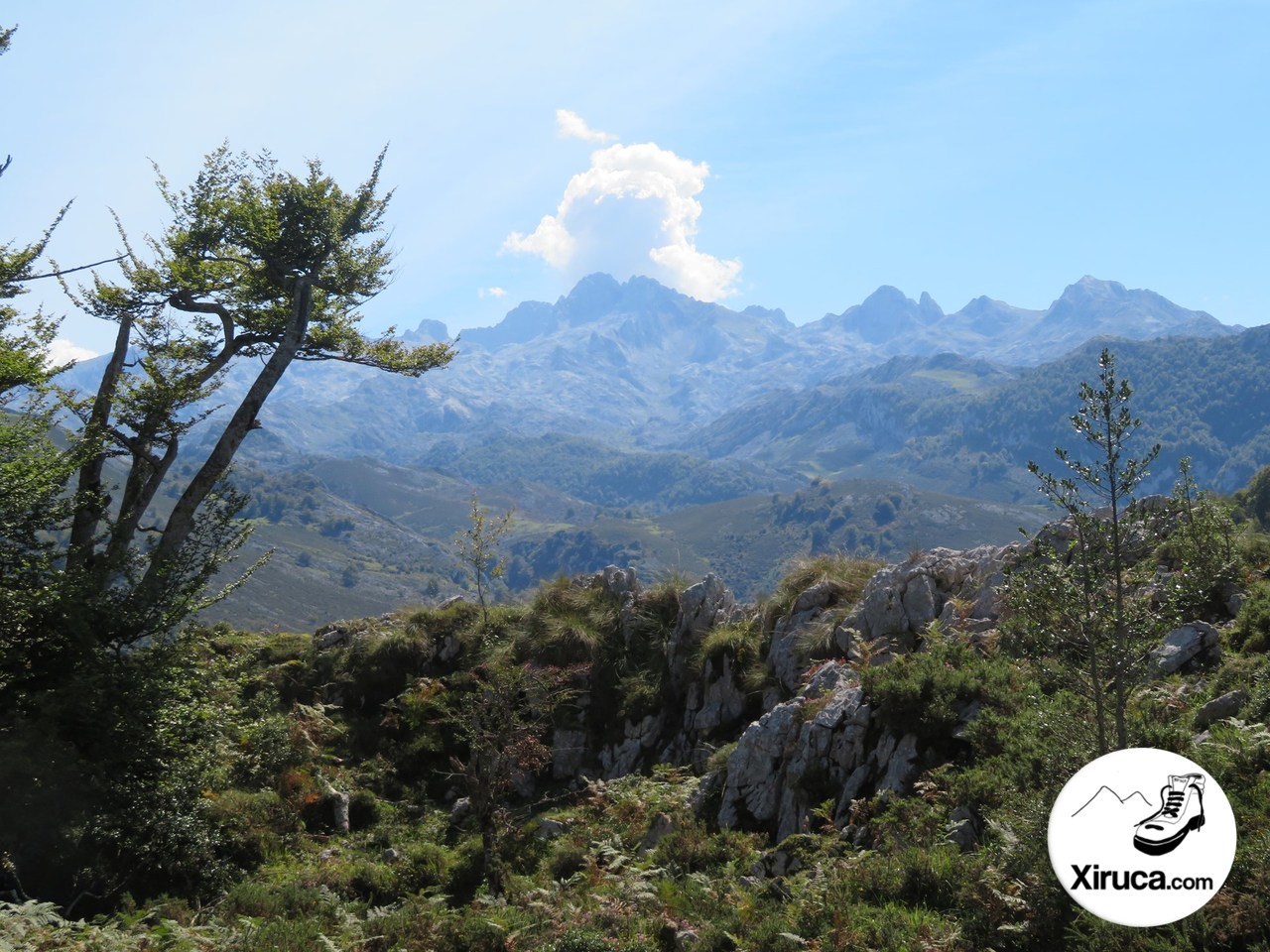 Parte central de Picos de Europa desde Camino de la Reconquista