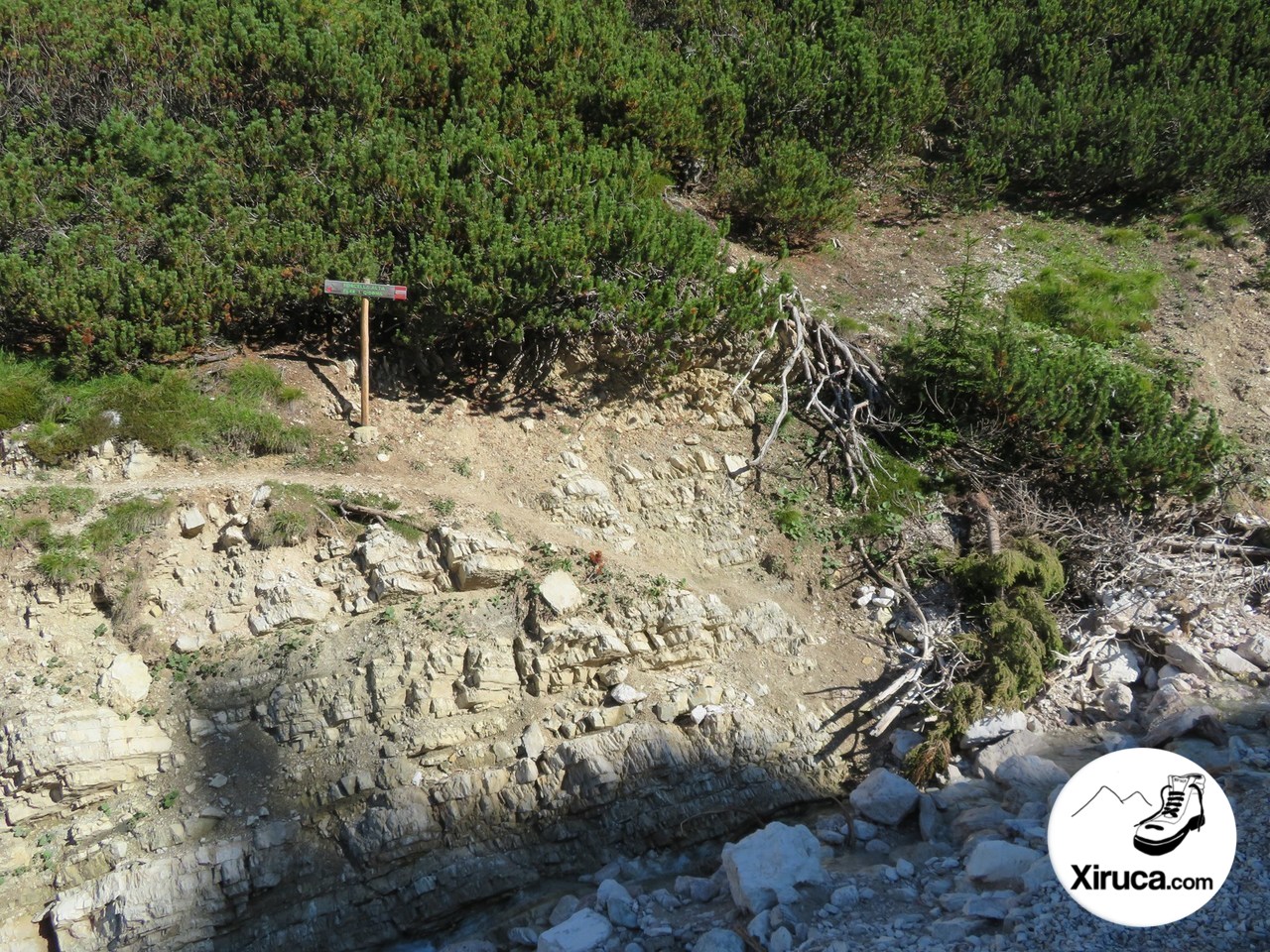 Buscando el sendero a la Forcella Alta