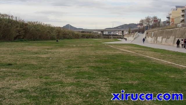 Césped en el Parc Fluvial del Besòs