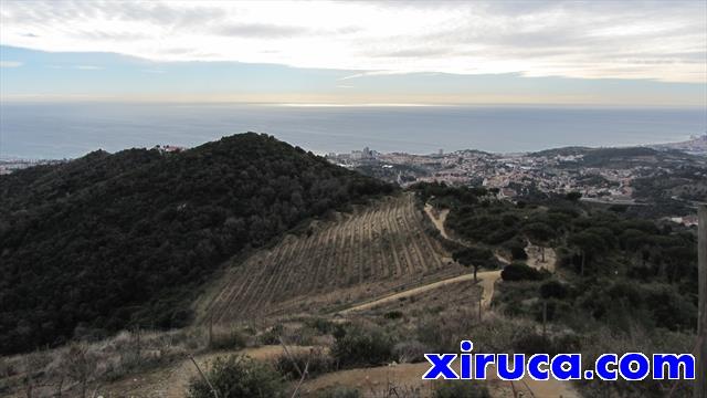 Turó de Ca l'Andreu y Coll de Nou Pins