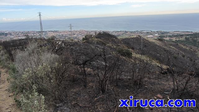 Zona deforestada por incendios