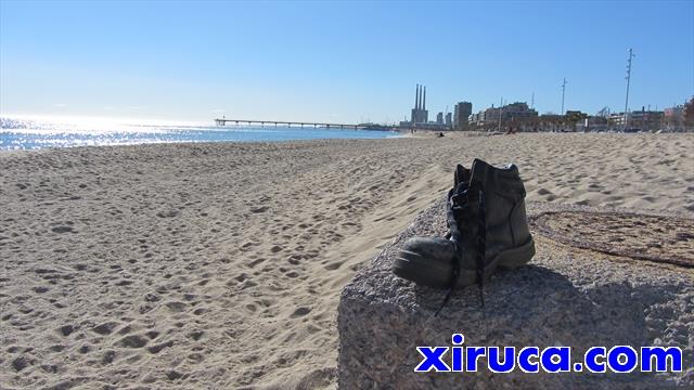 Xiruca en la playa de Badalona