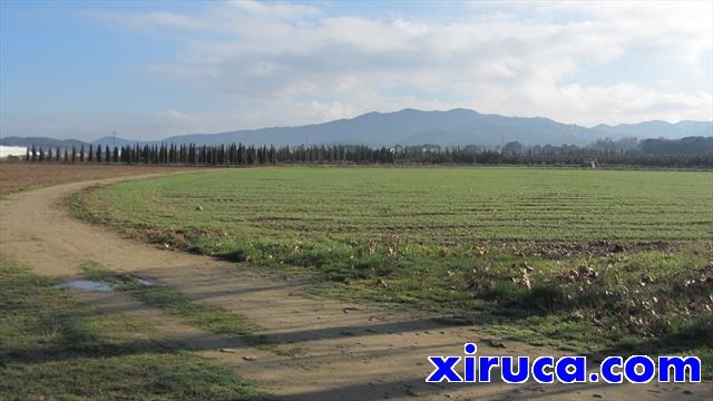 Serra de Céllecs desde Pla de Can Vilaró