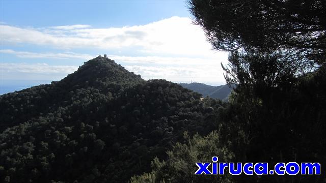 Castell de Burriac y Montcabrer