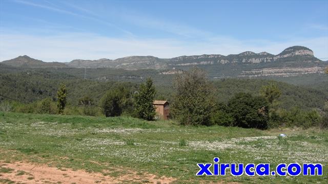 Cingles de Sant Sadurní desde Sant Sebastià de Montmajor