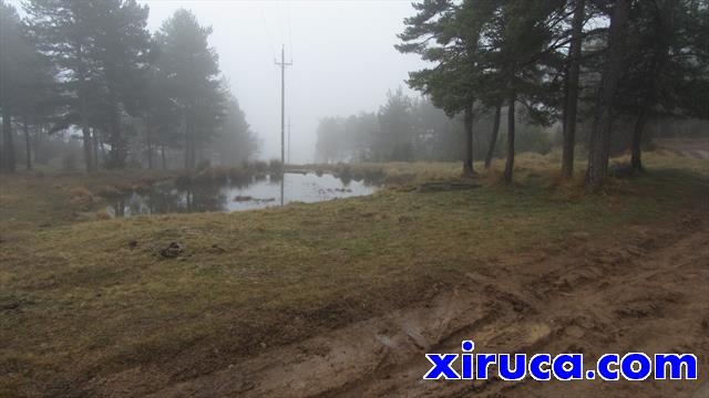 Balsa en Coll de Soler