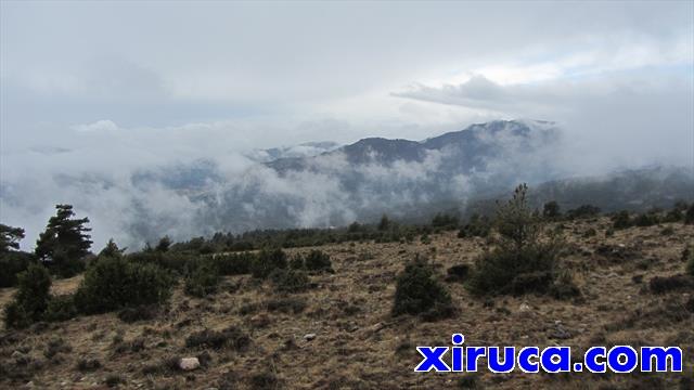 Miarada atrás subiendo el Pedró de Tubau