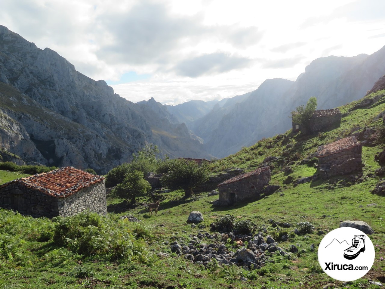 Majada de Ostón y Garganta del Cares