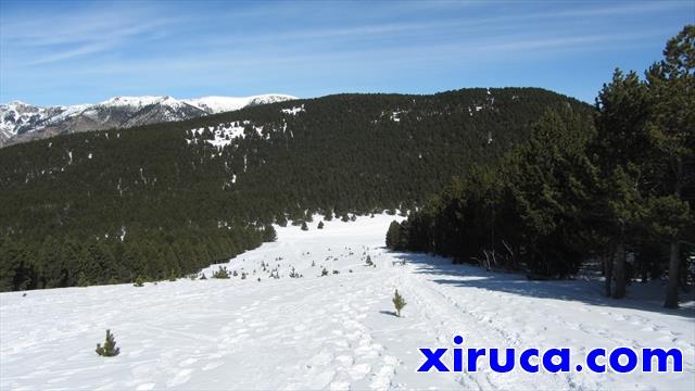 Bajada a Les Collades por antigua pista de esquí