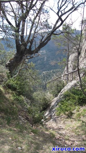 Coll de Roc Sobirà