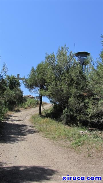 Cima del Puig d'Olorda