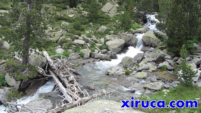 Puente sobre el río