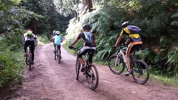 Rutas de mountain bike por el montseny