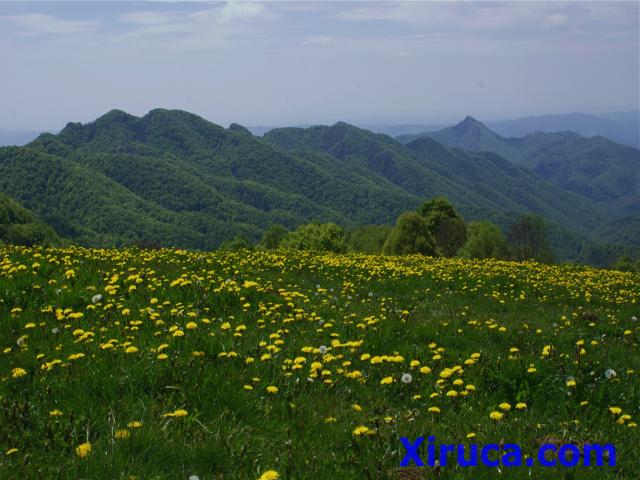 Bellmunt desde Rasos de Manter