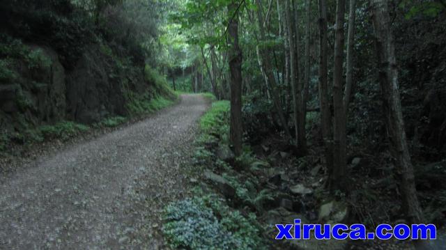 Pista en el Torrent de la Baga de Can Cuch