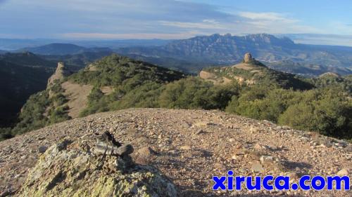 Xiruca, Roca Salvatge, Paller de Tot l'Any y Montserrat