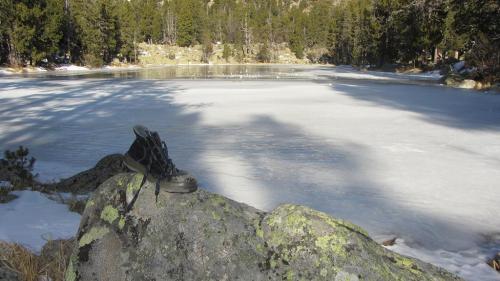 Xiruca en el Estany de l'Orri