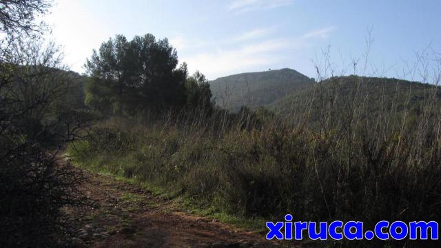 Penya del Papiol desde el camino de Cal Jesús