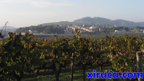 Viñas y Sant Miquel d'Olèrdola