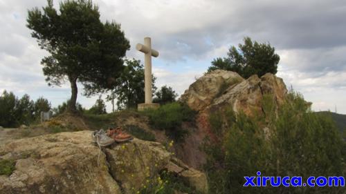 Xirucas en el Puig d'Olorda