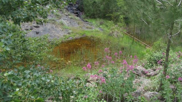 Aguas filtradas en la Pedrera