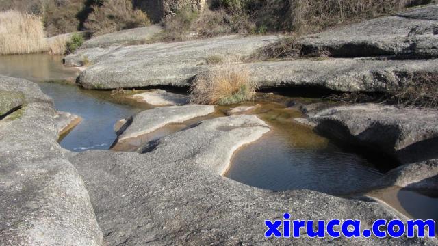 Gorgs en la Riera de Talamanca