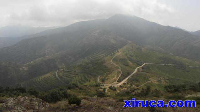 Una mirada al Coll de Banyuls