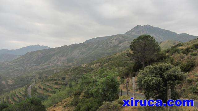 Querroig y cimas de l'Albera