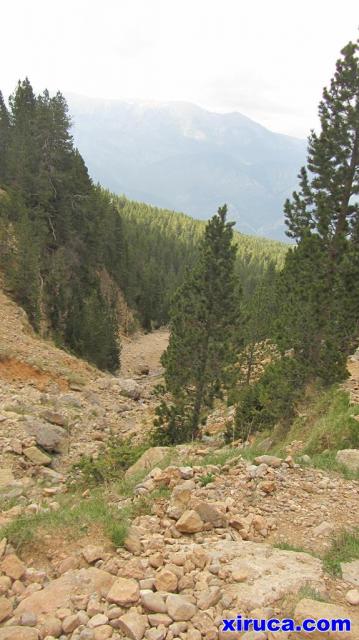 Llegando al Torrent de la Font d'Ensija