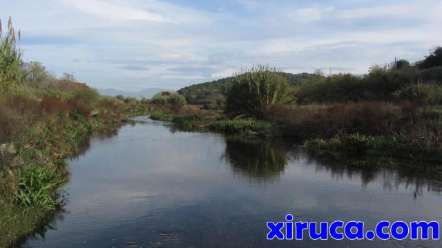 Río Besòs desde la pasarela