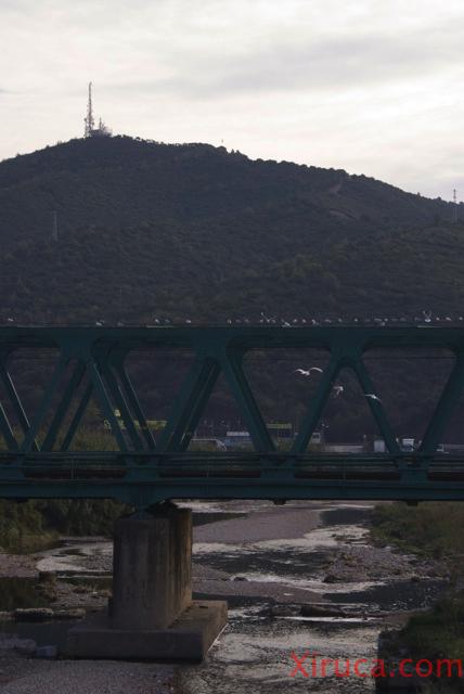 Puente de Montcada