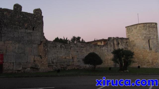 Muralla medieval en Olèrdola